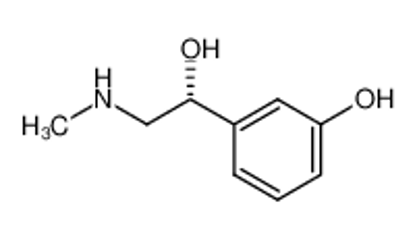 Show details for phenylephrine