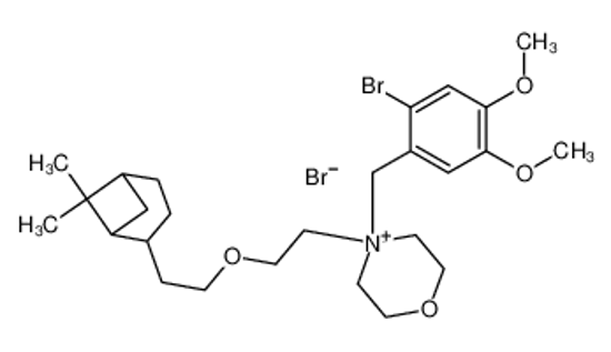 Picture of 4-[(2-bromo-4,5-dimethoxyphenyl)methyl]-4-[2-[2-(6,6-dimethyl-4-bicyclo[3.1.1]heptanyl)ethoxy]ethyl]morpholin-4-ium