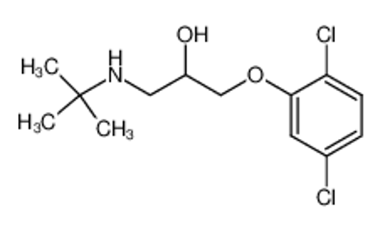 Picture of 1-(tert-butylamino)-3-(2,5-dichlorophenoxy)propan-2-ol