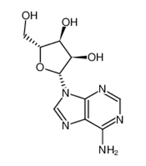 Picture of adenosine