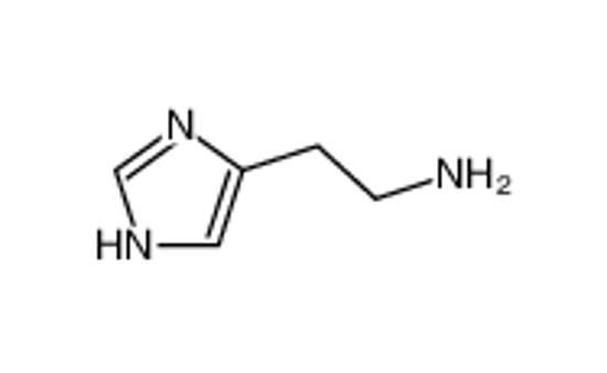 Изображение histamine
