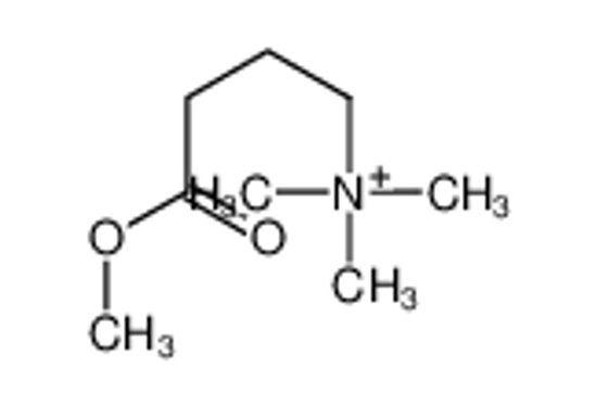 Picture of (4-methoxy-4-oxobutyl)-trimethylazanium