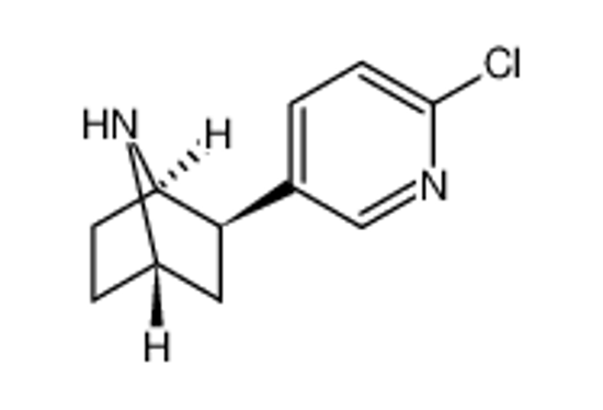 Picture of (±)-Epibatidine,(±)-exo-2-(6-Chloro-3-pyridinyl)-7-azabicyclo[2.2.1.]heptane