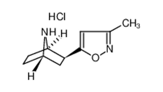 Picture of 5-[(1S,3S,4R)-7-azabicyclo[2.2.1]heptan-3-yl]-3-methyl-1,2-oxazole