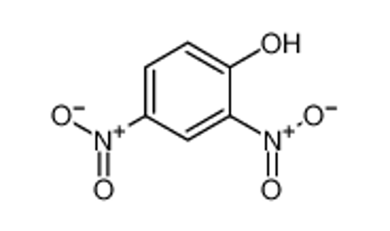 Picture of 2,4-dinitrophenol