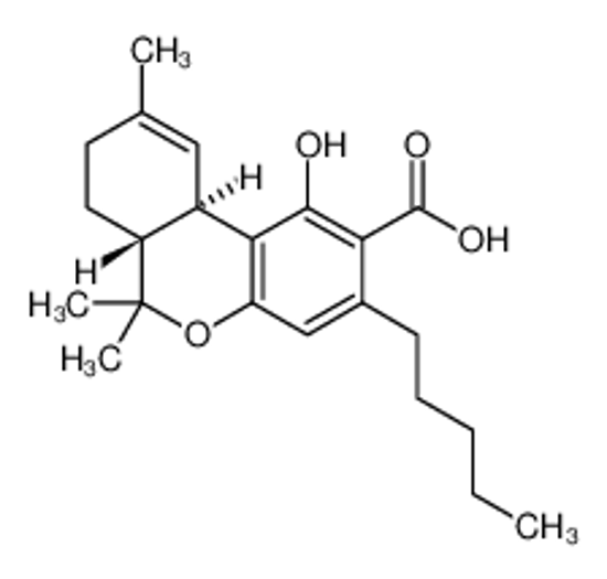 Picture of Tetrahydrocannabinolic acid