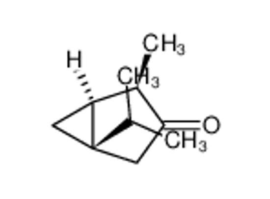 Picture of (-)-α-thujone