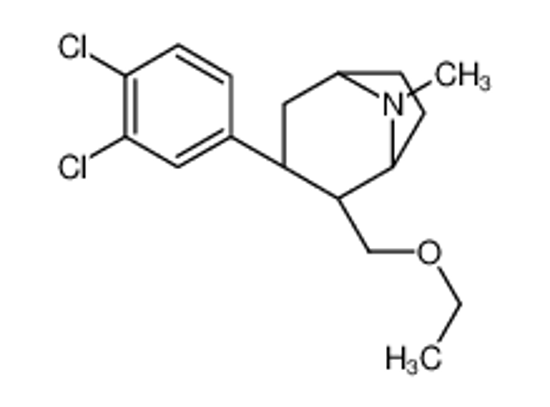 Picture of (1R,2R,3S,5S)-3-(3,4-Dichlorophenyl)-2-(ethoxymethyl)-8-methyl-8- azabicyclo[3.2.1]octane