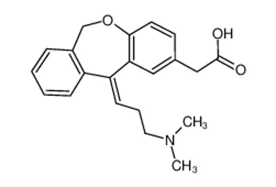 Picture of Olopatadine