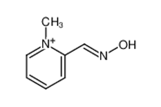 Picture of Pralidoxime