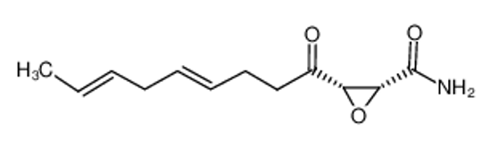 Picture of Cerulenin