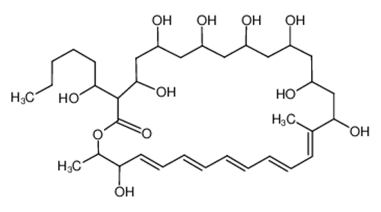 Picture of filipin III