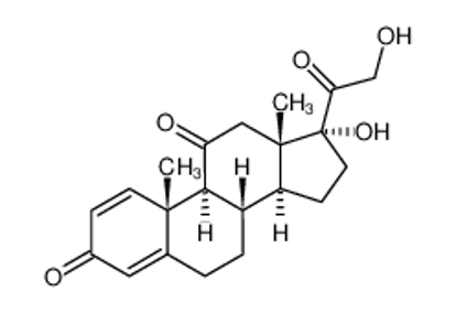 Show details for prednisone