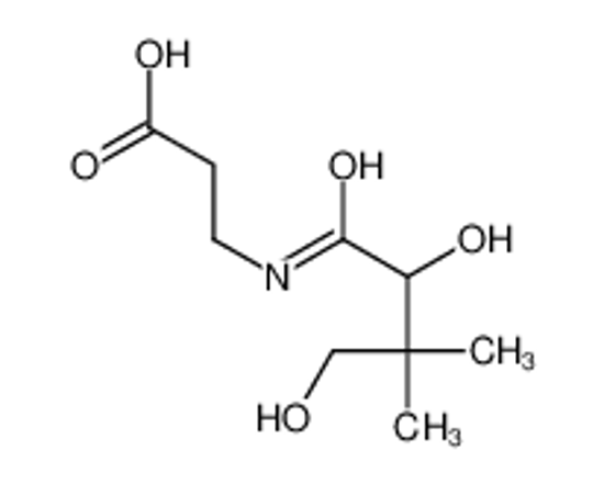 Picture of pantothenic acid