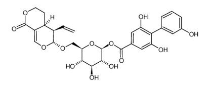 Picture of amarogentin