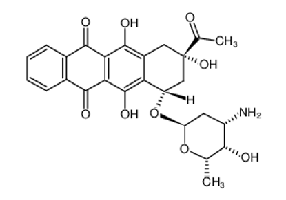 Show details for idarubicin