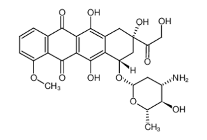 Imagem de 4'-epidoxorubicin