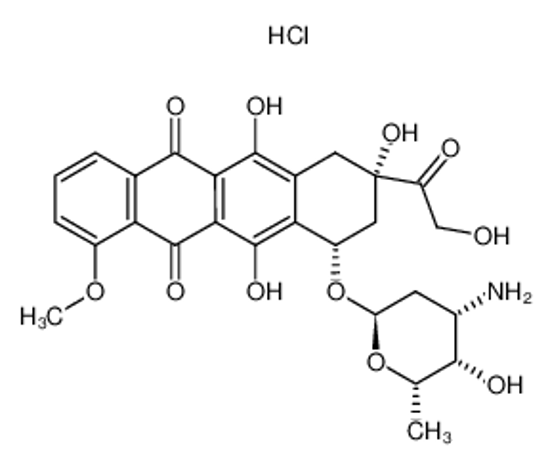 Изображение doxorubicin