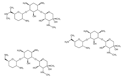 Imagem de Gentamicin