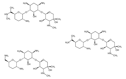 Show details for Gentamicin