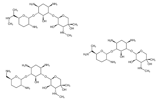 Picture of Gentamicin