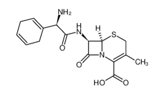 Picture of cephradine