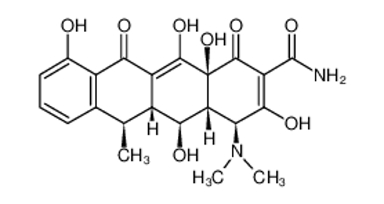 Picture of doxycycline
