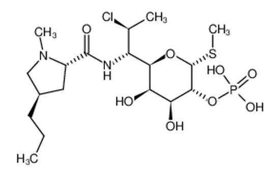 Picture of Clindamycin phosphate