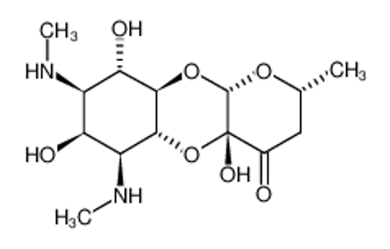Picture of spectinomycin