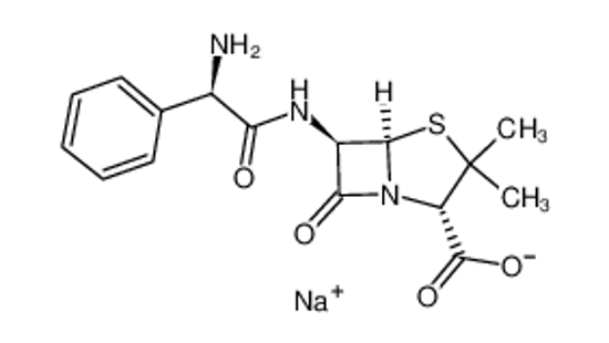 Picture of ampicillin sodium
