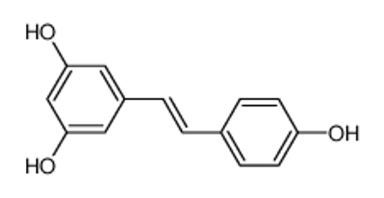Picture of resveratrol，Polygonum cuspidatum