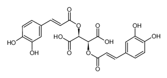 Picture of Cichoric acid