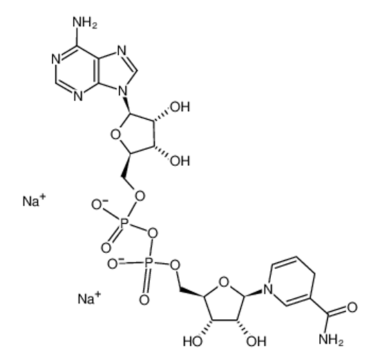 Picture of beta-Nicotinamide adenine dinucleotide, disodium salt