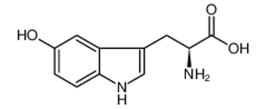 Picture of 5-hydroxy-L-tryptophan