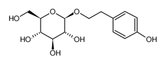 Picture of Salidroside，Rhodiola extract，Rhodiola Rosea P. E.，Rhodiola P.E.