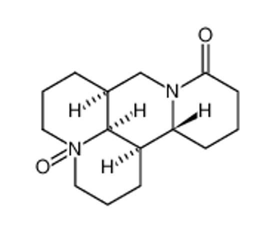 Picture of oxymatrine
