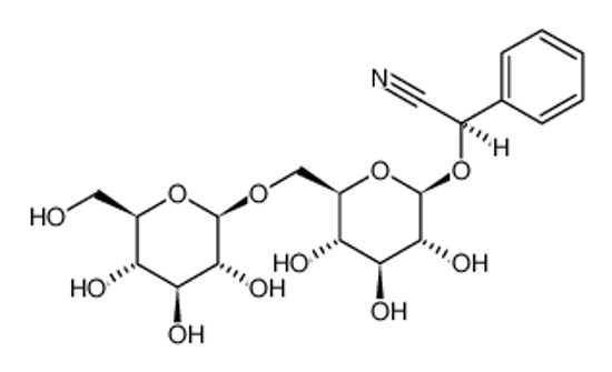 Picture of amygdalin