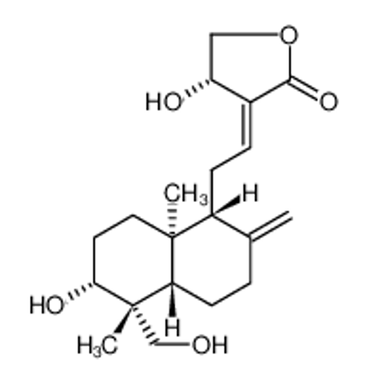Picture of Andrographolide