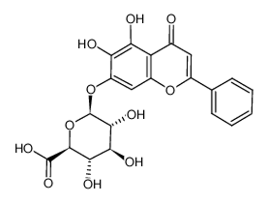 Picture of baicalin，Baicalin Extract