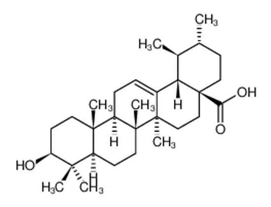 Picture of ursolic acid
