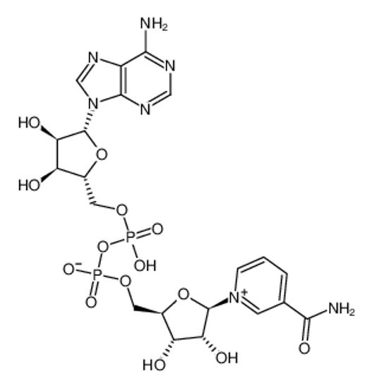Picture of β-Nicotinamide adenine dinucleotide