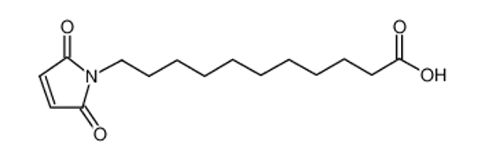 Imagem de 11-(2,5-dioxopyrrol-1-yl)undecanoic acid