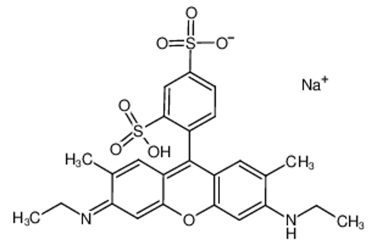 Picture of sulforhodamine G