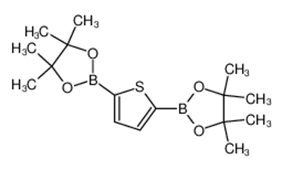 Изображение 4,4,5,5-tetramethyl-2-[5-(4,4,5,5-tetramethyl-1,3,2-dioxaborolan-2-yl)thiophen-2-yl]-1,3,2-dioxaborolane