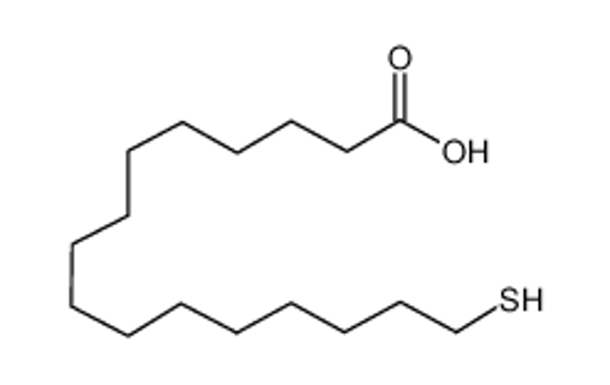 Изображение 16-sulfanylhexadecanoic acid