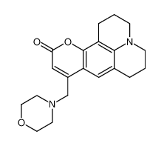 Picture of 8-Morpholin-4-ylmethyl-2,3,5,6-tetrahydro-1H,4H-11-oxa-3a-aza-benzo[de]anthracen-10-one