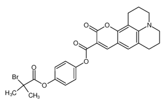 Picture of 10-Oxo-2,3,5,6-tetrahydro-1H,4H,10H-11-oxa-3a-aza-benzo[de]anthracene-9-carboxylic acid 4-(2-bromo-2-methyl-propionyloxy)-phenyl ester