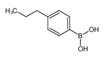 Показать информацию о 4-Propylphenylboronic acid