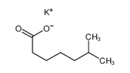 Mostrar detalhes para potassium,6-methylheptanoate
