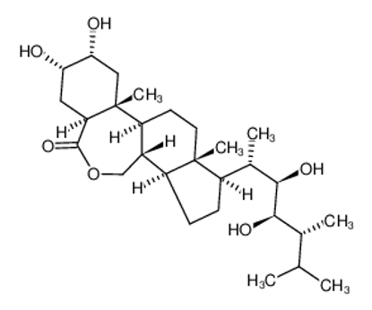 Show details for brassinolide